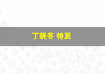 丁晓冬 特发